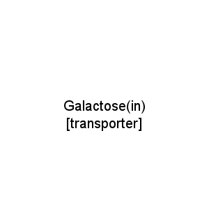 Galactose(in) [transporter]